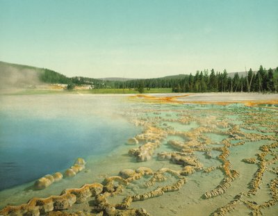 Saphir-Pool, Yellowstone Nationalpark, ca. 1902 von Detroit Photographic Co.