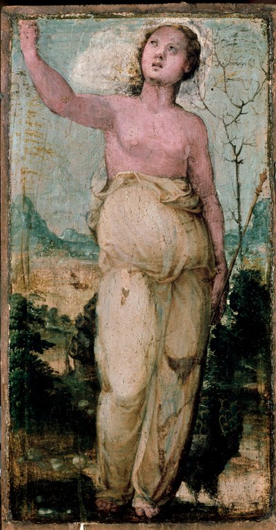 Weibliche Figur von Domenico Beccafumi