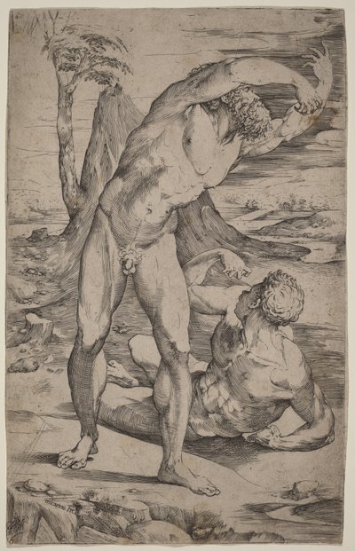 Zwei männliche Akte gestikulieren in einer Landschaft von Domenico Beccafumi