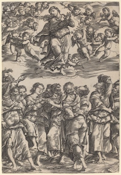Mariä Himmelfahrt von Domenico Campagnola