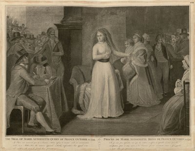 Der Prozess von Marie Antoinette, Königin von Frankreich, 14. Oktober 1793 von Domenico Pellegrini