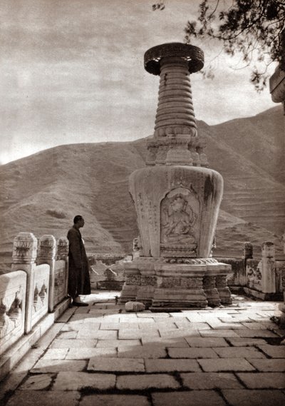 Marmorsentinel, Peking von Donald Mennie