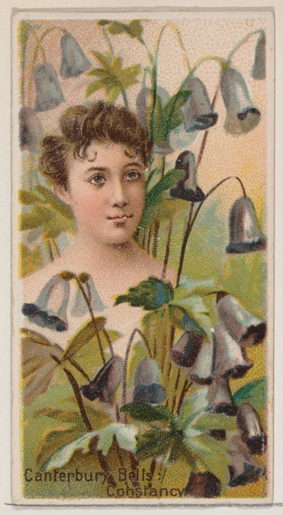 Canterbury Bells: Beständigkeit, aus der Serie Floral Beauties and Language of Flowers N75..., 1892 von Donaldson Brothers