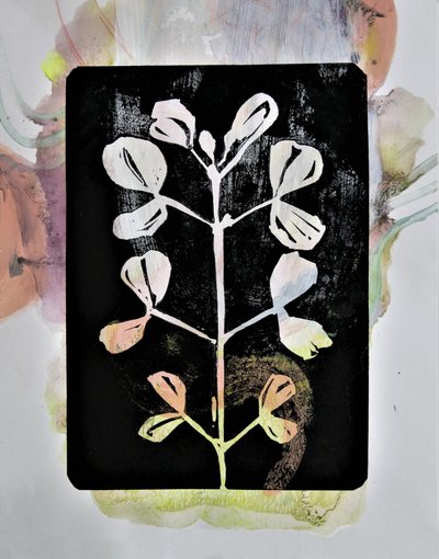 Pastell-Botanische Studie von Doris Schmitz