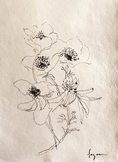 Zarte Blumenskizze von Dorothy Fagan