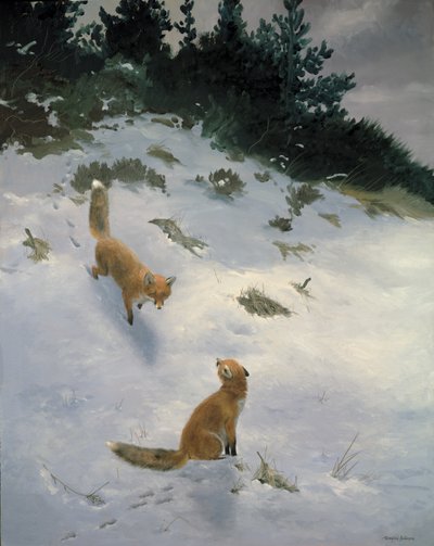 Liebe auf den ersten Blick, Füchse im Schnee von Douglas Anderson