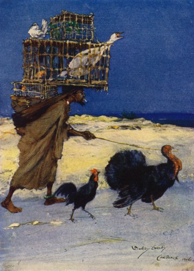 Der Vogelliebhaber, Karthago, Tunesien von Dudley Hardy