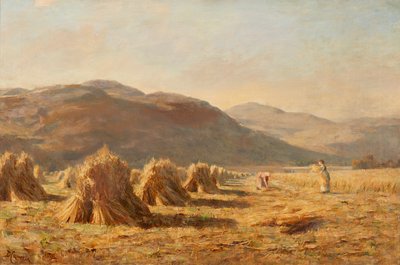 Ernte in der Nähe von Dumyat, Ochil Hills von Duncan Cameron