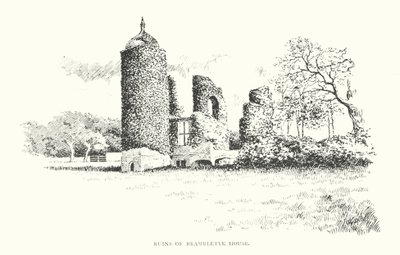 Ruinen von Brambletye House von Duncan Moul