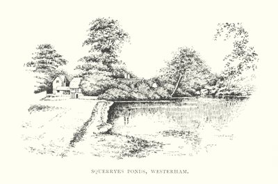 Squerryes Teiche, Westerham von Duncan Moul