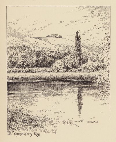 Sussex: Chanctonbury Ring von Duncan Moul