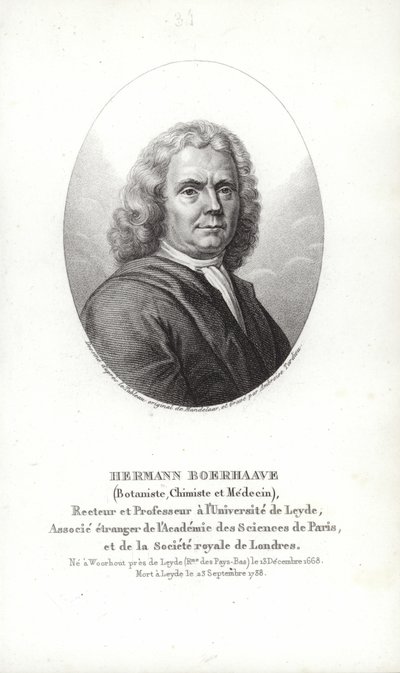 Herman Boerhaave von Dutch School