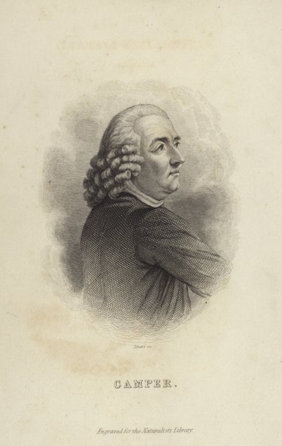 Petrus Camper von Dutch School