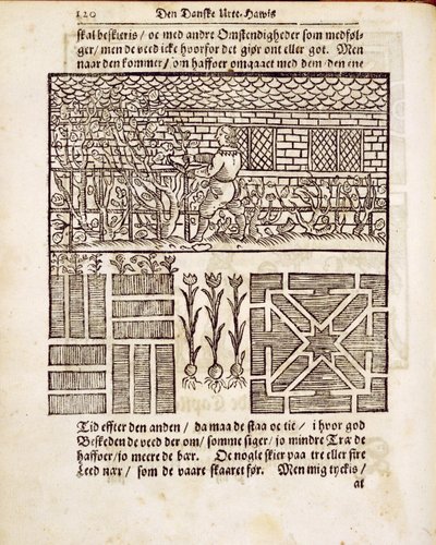 Training und Pflanzen im Garten, aus Der niederländische Gärtner von Johann van der Groen, veröffentlicht 1699 von Dutch School