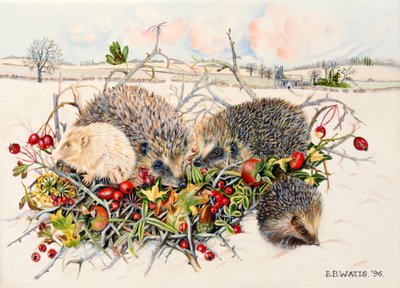 Igel im Hecken-Korb, 1996 von E.B. Watts