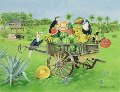 Tukane und Wassermelonen in altem thailändischen Wagen, 2004 von E.B. Watts