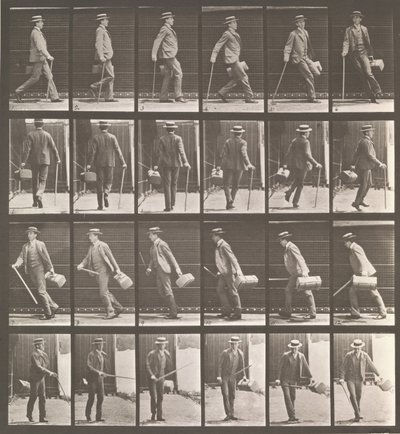 Tierlokomotion. Eine elektro-fotografische Untersuchung... von Tierbewegungen. Beginn..., 1880er Jahre von Eadweard Muybridge