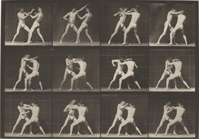 Tafel Nummer 340. Boxen, offene Handschuhe, 1887 von Eadweard Muybridge