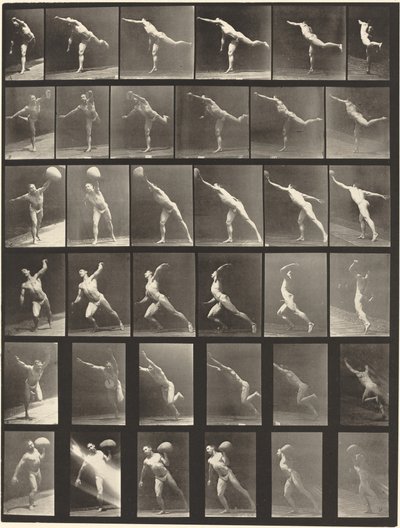 Tafel Nummer 523. A: Einen Schlag ausführen. B, E: Diskus werfen. C, F: Einen 75-Pfund-Stein heben..., 1887 von Eadweard Muybridge