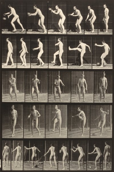 Tierbewegung (Tafel 300) von Eadweard Muybridge
