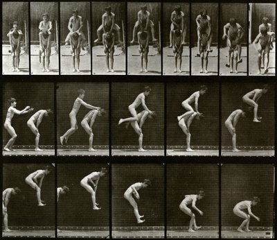 Tierbewegung von Eadweard Muybridge