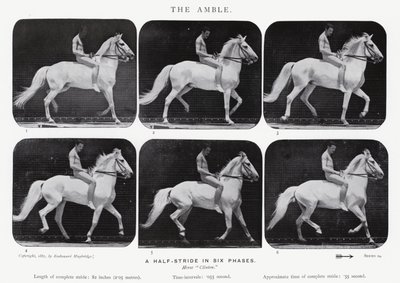Eadweard Muybridge: Der Schritt von Eadweard Muybridge