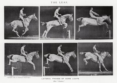 Der Sprung von Eadweard Muybridge