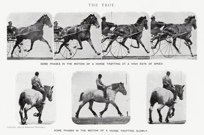 Eadweard Muybridge: Der Trab (s/w Foto) von Eadweard Muybridge