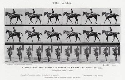 Eadweard Muybridge: Der Gang von Eadweard Muybridge