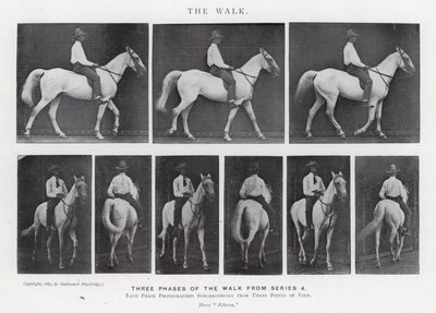 Eadweard Muybridge: Der Gang (s/w Foto) von Eadweard Muybridge