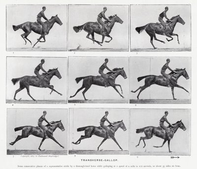 Eadweard Muybridge: Der Quer-Galopp von Eadweard Muybridge