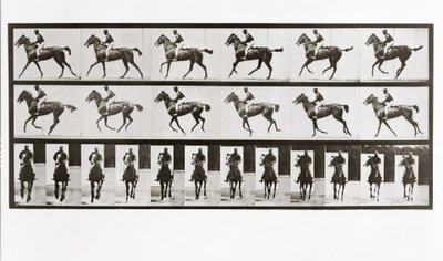 Pferd und Reiter, Platte 621 aus Animal Locomotion von Eadweard Muybridge