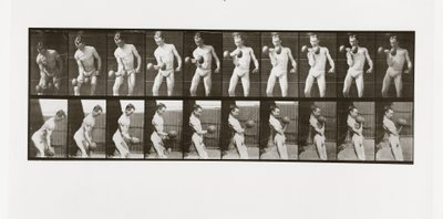 Mann hebt eine Hantel, Tafel 324 aus Animal Locomotion, 1887 von Eadweard Muybridge