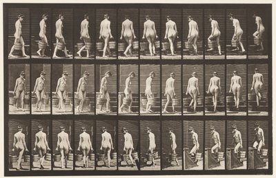 Drehen und Treppensteigen, Eimer Wasser in jeder Hand von Eadweard Muybridge