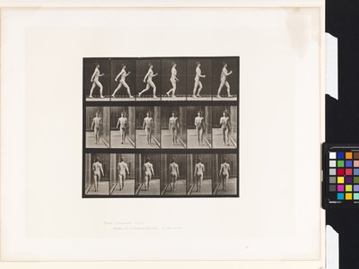 Tafel 10. Gehen von Eadweard Muybridge