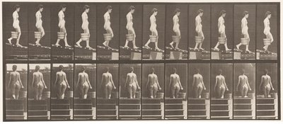 Absteigende Neigung, Eimer Wasser in der rechten Hand von Eadweard Muybridge