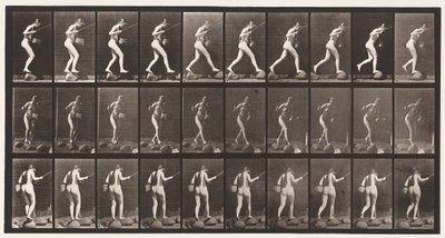 Tafel 176. Bach auf Trittsteinen überqueren mit Angelrute und Korb von Eadweard Muybridge