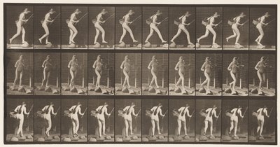 Tafel 177. Über einen Bach auf Trittsteinen gehen mit Angelrute und Korb von Eadweard Muybridge