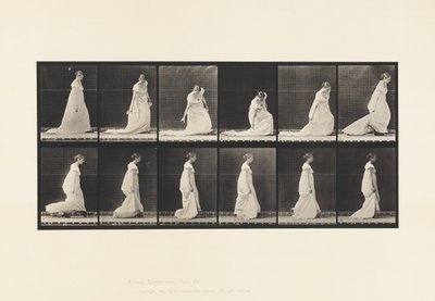 Tafel 207. Bücken und Heben Zug, 1885 von Eadweard Muybridge