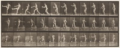 Tafel 301. Fußball; Punt, 1885 von Eadweard Muybridge