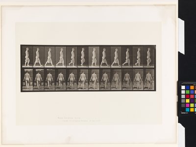 Tafel 30. Gehen, Eimer Wasser in jeder Hand tragend von Eadweard Muybridge