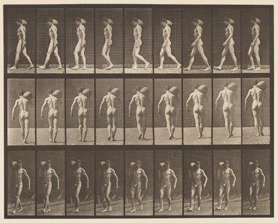 Tafel 31. Gehen, 75-Pfund-Stein auf der rechten Schulter tragend von Eadweard Muybridge