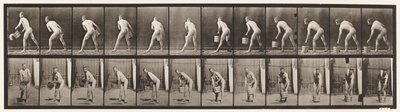 Tafel 398. Einen Eimer Wasser heben und leeren von Eadweard Muybridge