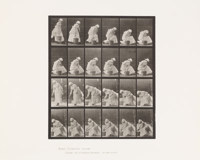 Eimer abstellen und zum Schrubben vorbereiten von Eadweard Muybridge