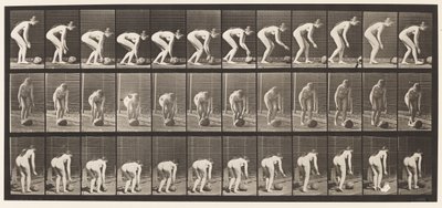 Tafel 442. Bücken und einen Stein auf dem Boden rollen von Eadweard Muybridge
