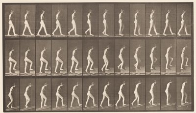 Tafel 482. A, Gehen; B, Treppen steigen; C, Abwärts geneigt von Eadweard Muybridge