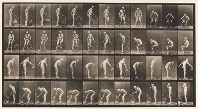 Tafel 490. A, Hinsetzen; B, Hinsetzen; C, Wasser spritzen von Eadweard Muybridge