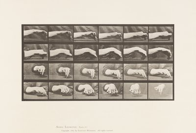 Tafel 532. Bewegung der Hand; einen Kreis zeichnen von Eadweard Muybridge