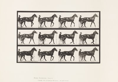 Tafel 588. Gehen; Sulky; Braunes Pferd Reuben von Eadweard Muybridge