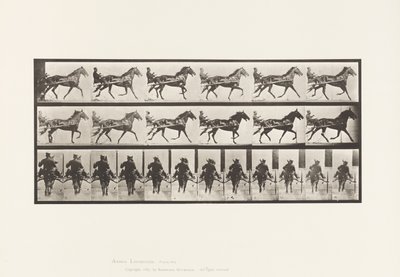 Tafel 594. Schaukelgang (Passgang): Sulky; Braunes Pferd Pronto von Eadweard Muybridge